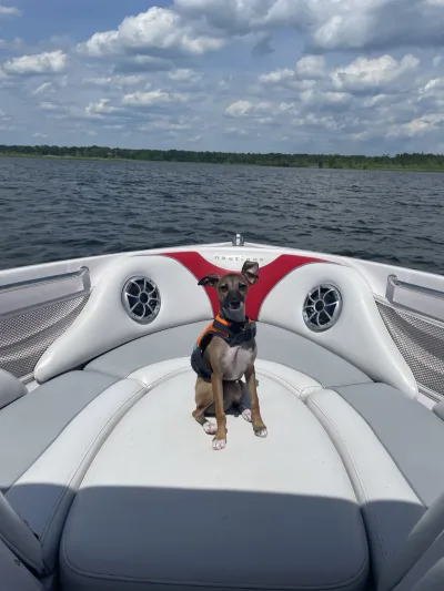 2006 Air Nautique 226 Nautique Boats for sale in Goose Creek South Carolina