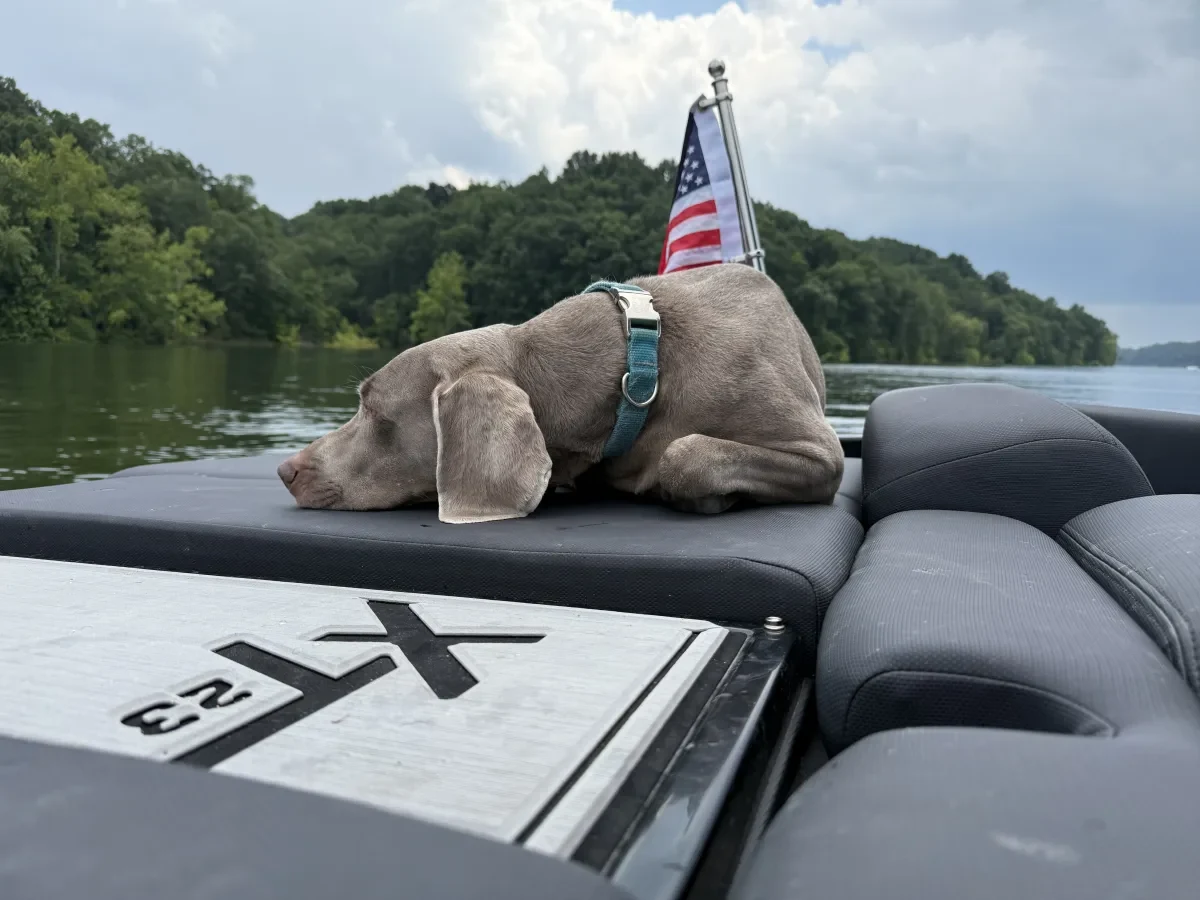 2017 XT23 Mastercraft Boats for sale in Indianapolis Indiana