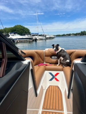 2021 Centurion Boats Ri265 for sale in CORNELIUS, North Carolina