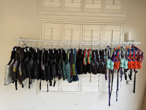 2019 Centurion Boats Ri257 for sale in Gilbert, Arizona