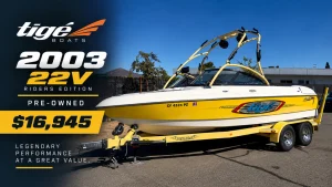 2003-tige--147386-image1