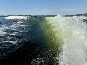 2022-moomba-makai-147319-image27.webp