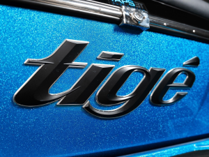 2025 Tige Boats 24RZX for sale in Springville, Utah