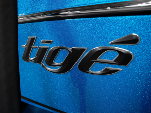 2025 Tige Boats 24RZX for sale in Springville, Utah