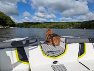 2016 Nautique Boats G21 for sale in Central City, Pennsylvania