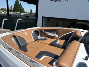 2024 Tige Boats 22RZX Icon