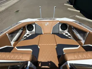 2024 Tige Boats 22RZX Icon
