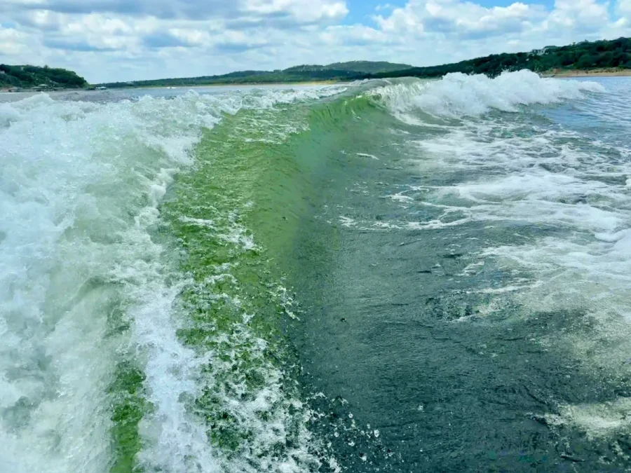 2019-nautique-g25-138207-image8.webp