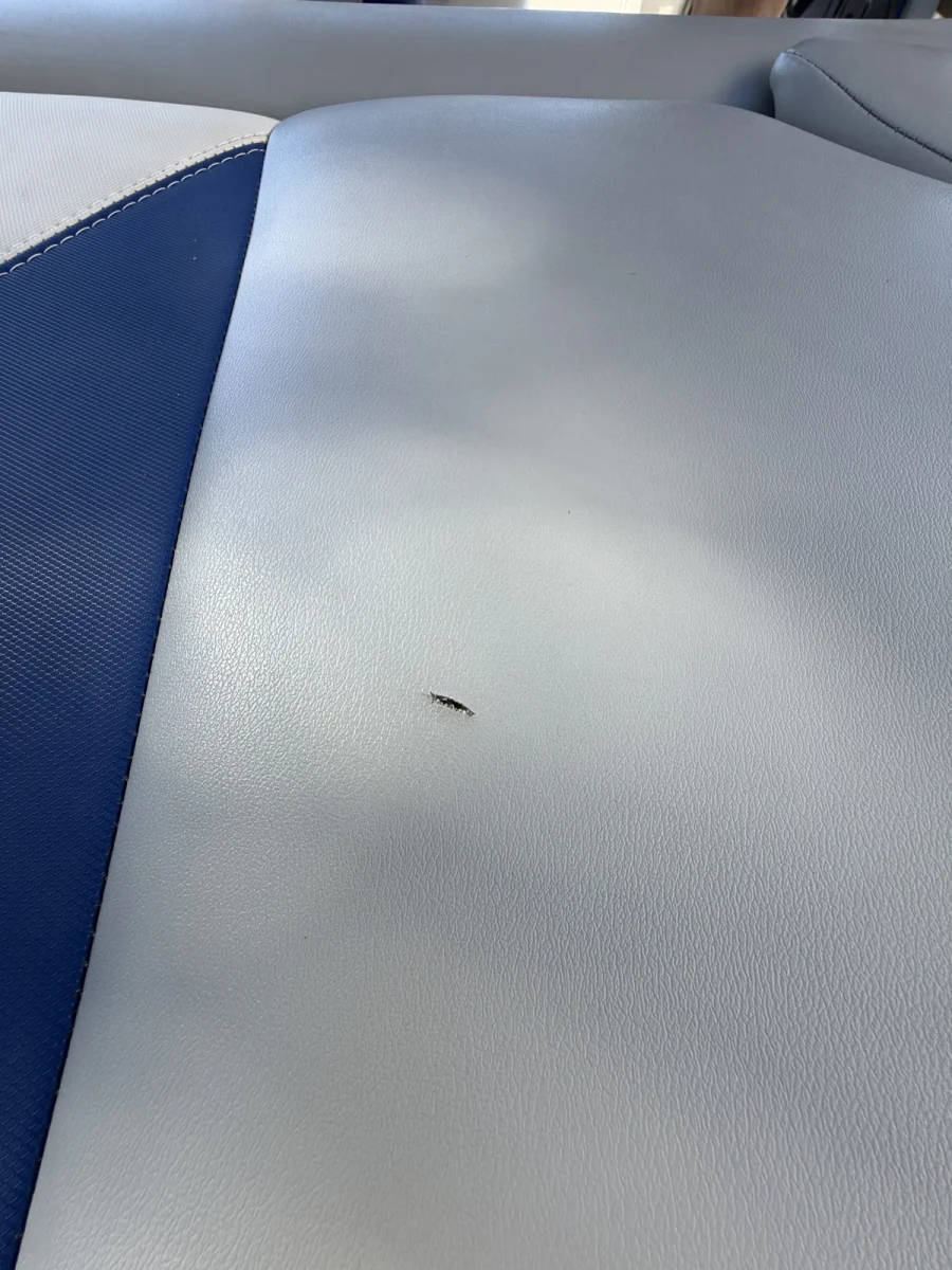 2019-axis-a22-143858-image28.webp