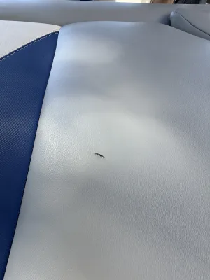 2019-axis-a22-143858-image28.webp