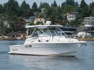 2005-proline--143047-image1